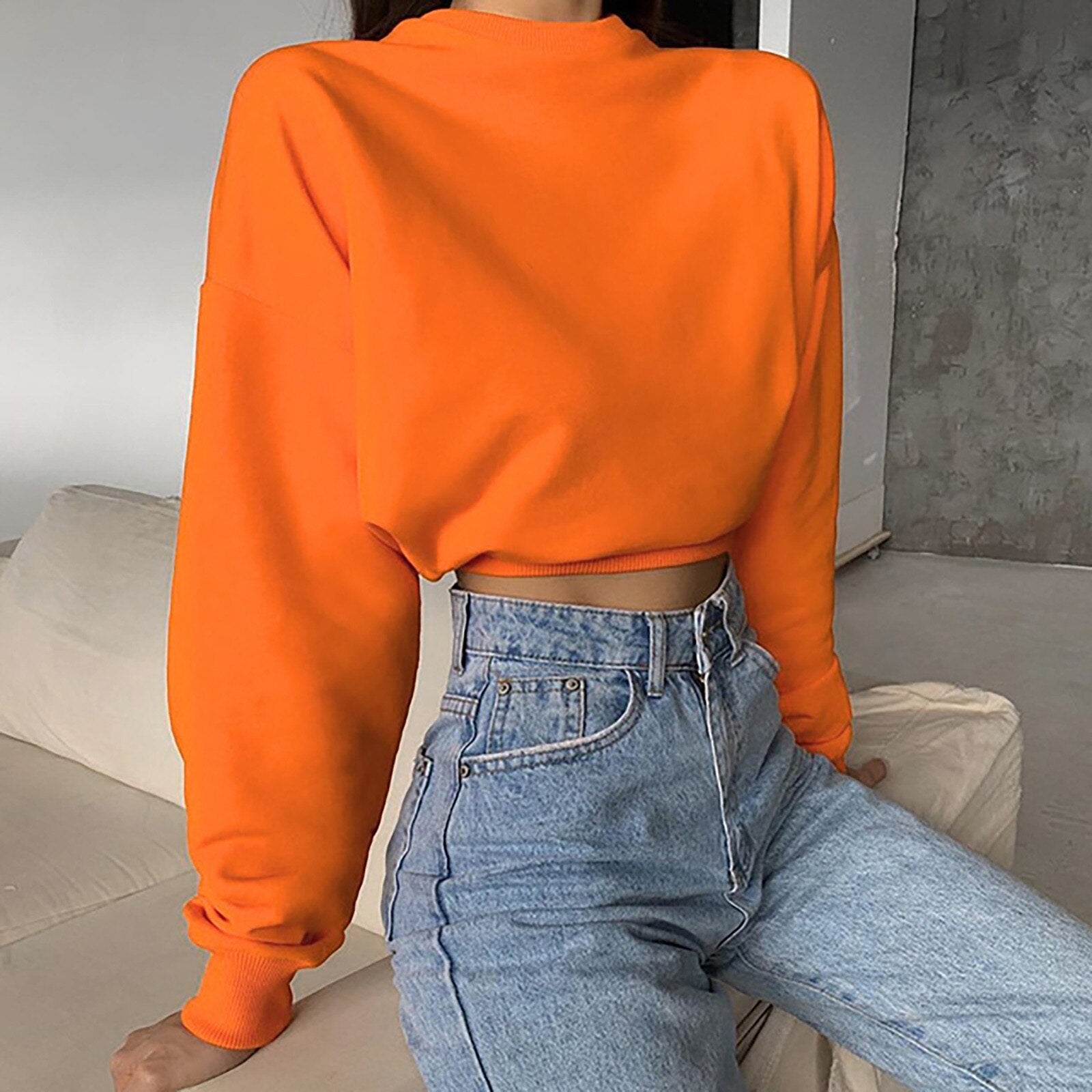 Long Sleeve Crop Top Sweatshirt